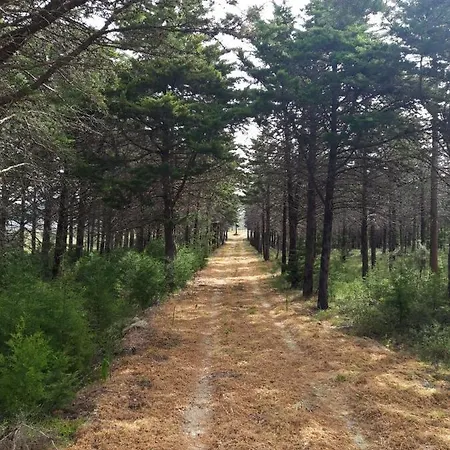 Moinho Do Cubo * Alvorge