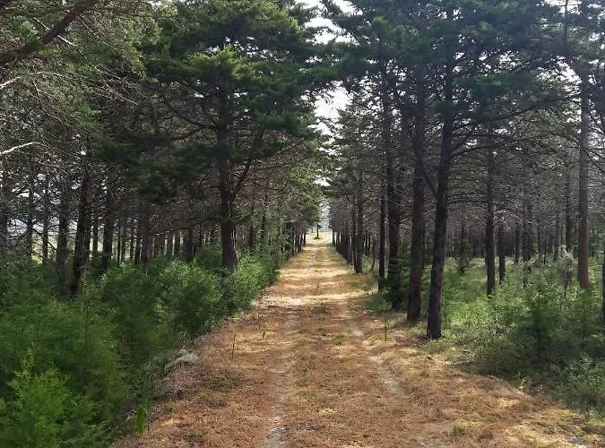 Moinho Do Cubo * Alvorge