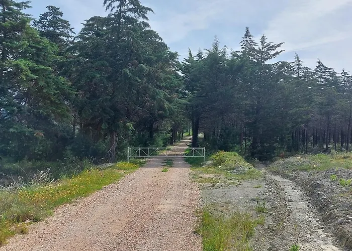 Ferienhaus Moinho Do Cubo